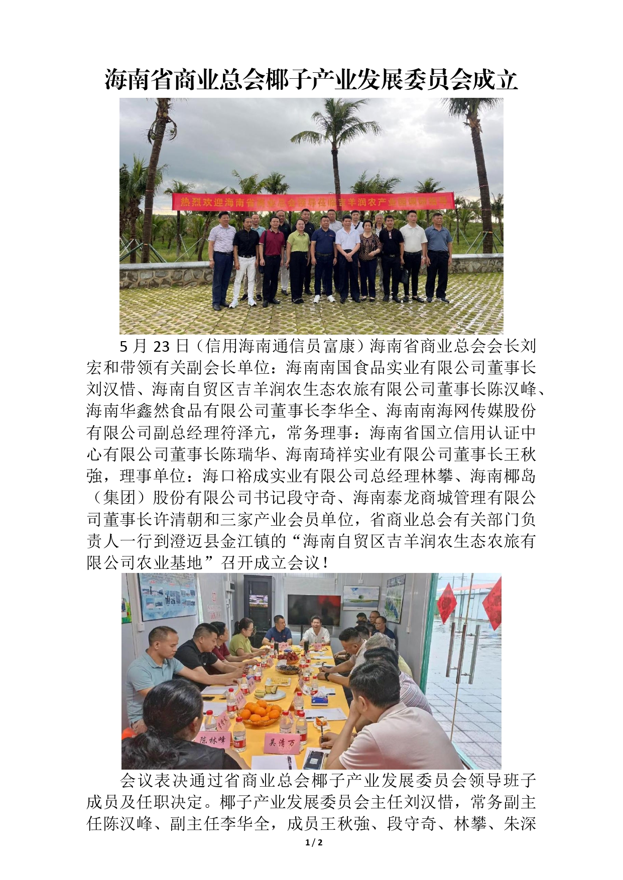 海南省商业总会椰子产业发展委员会成立(1)(1)(1)_page-0001.jpg